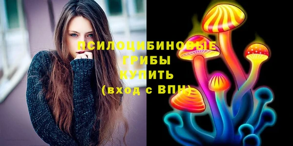spice Арсеньев